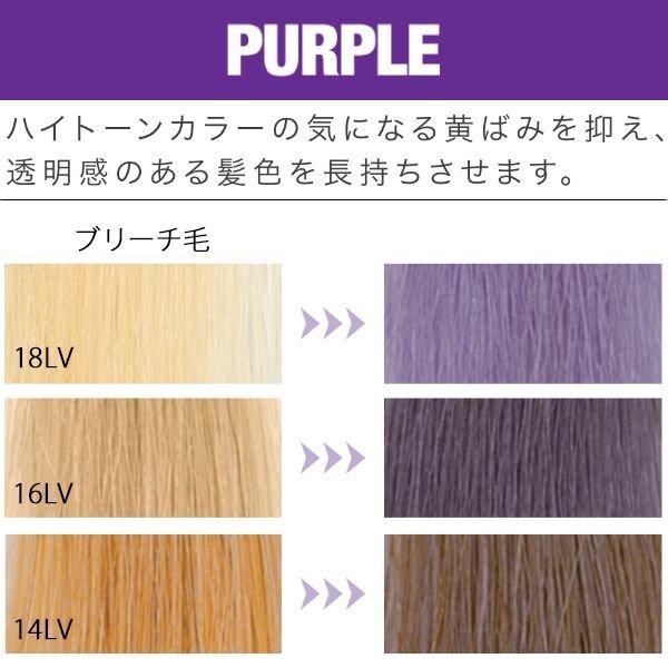 フィヨーレ クオルシア カラーシャンプー パープル 1000ml(ポンプ)--のヘアケア通販