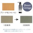 画像2: ピアセラボ フォーミュレイト イロプラス シャンプー シアーグレージュ 120ml-- (2)