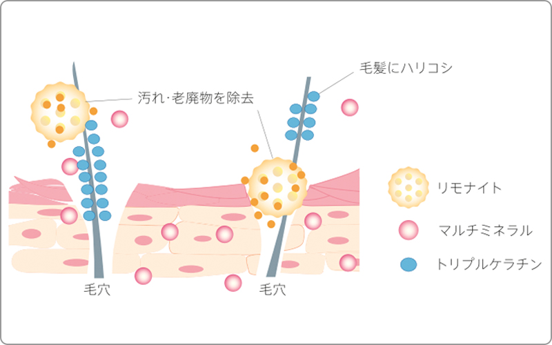 ヴィーヴェレ　成分