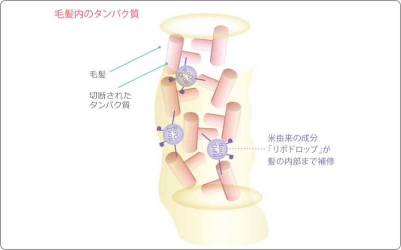 ミルボン　ミズリセ　成分