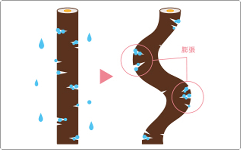 クセノ　くせ毛原因