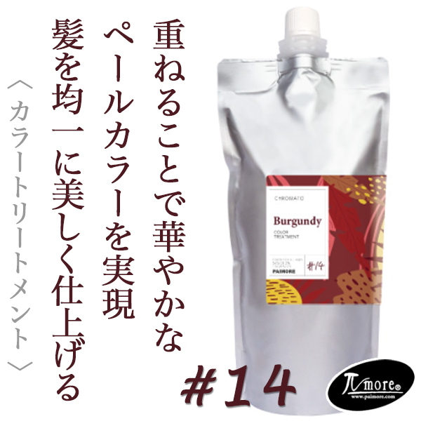 パイモア クロマト カラートリートメント バーガンディー 500g